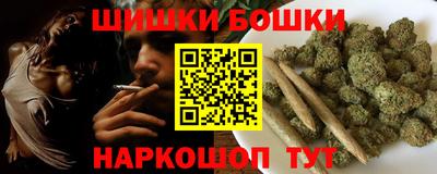 гашик Гатчина