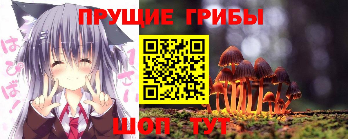 Псилоцибиновые грибы прущие грибы  Вход с VPN  Павлово 